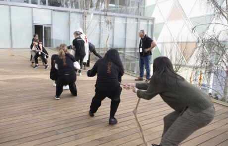 BANDALUX_104