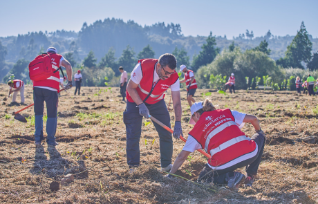 Actividades y viajes de incentivo solidarios para empresas en Galicia.